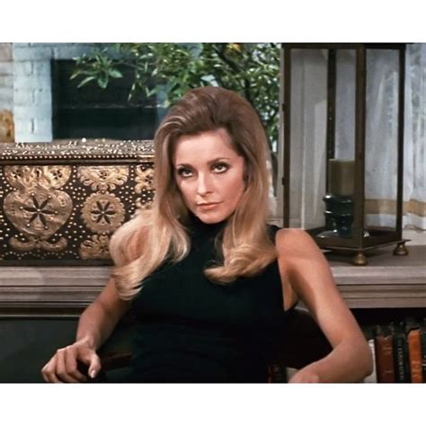 sharon tate rare photos.